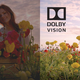 Illustration for article titled How Dolby Vision Works, and How It Could Revolutionize TVs Forever
